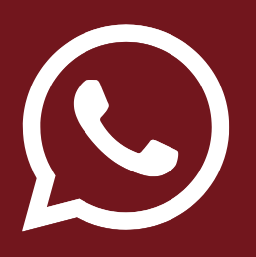 WhatsApp icon
